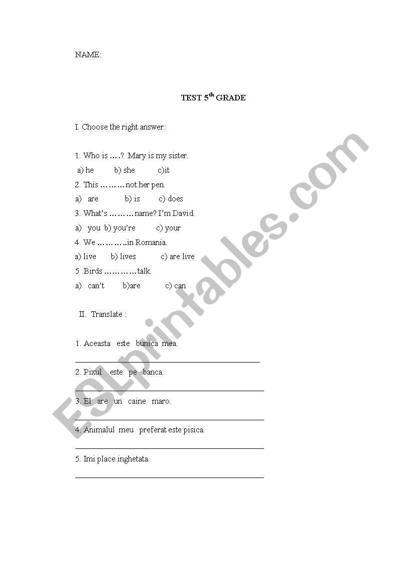 simple grammar test worksheet
