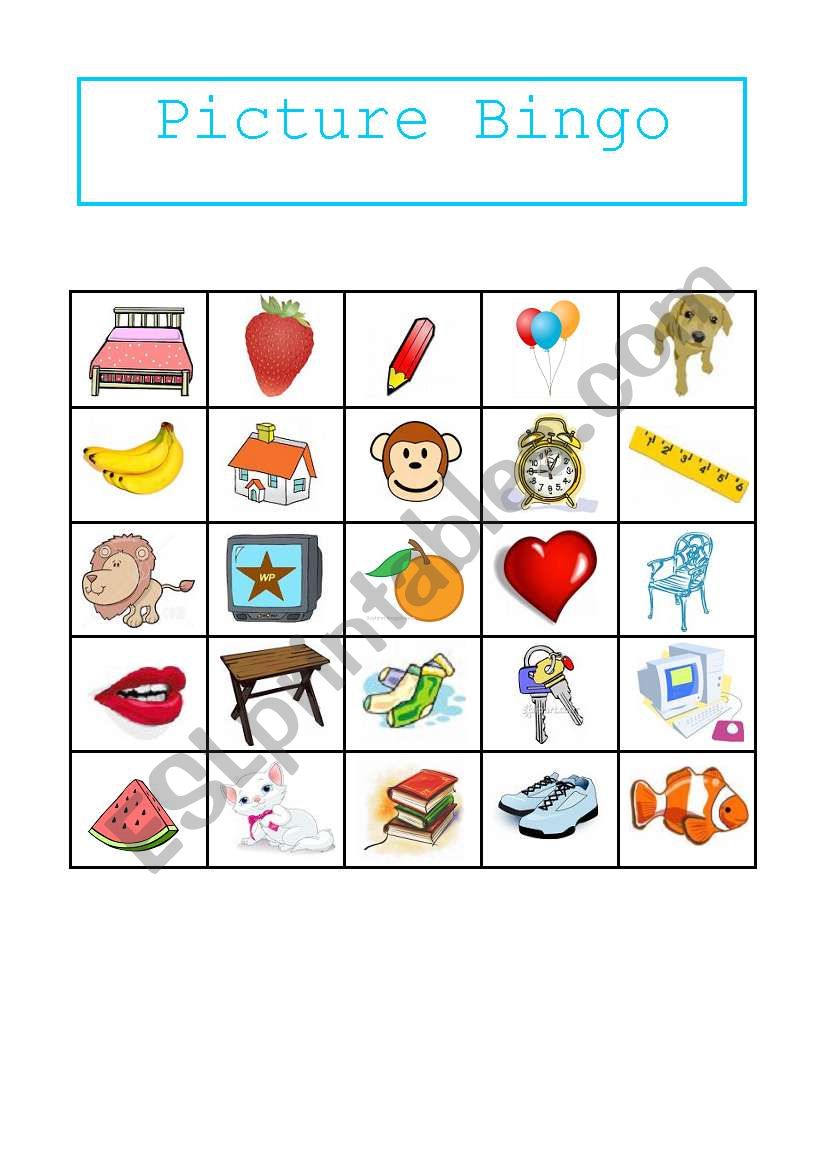 Picture Bingo worksheet