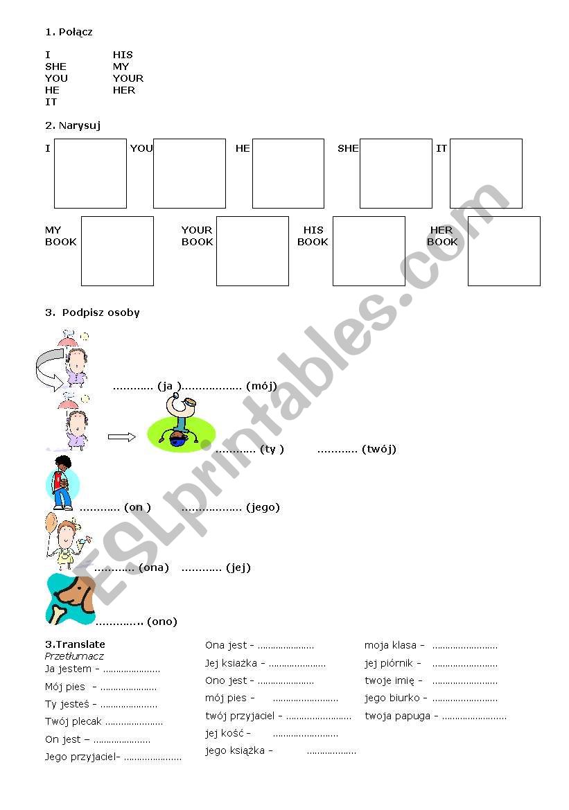 possesive adjectives worksheet