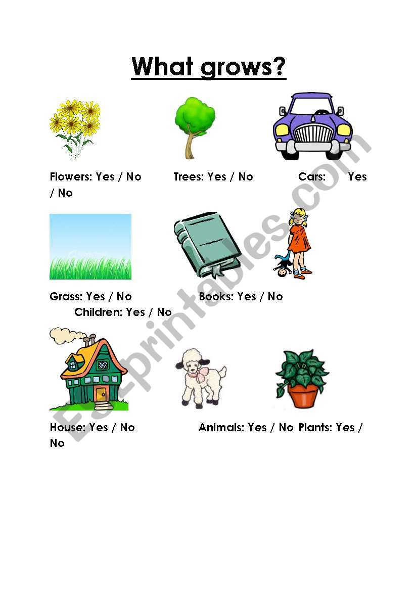 What grows? worksheet