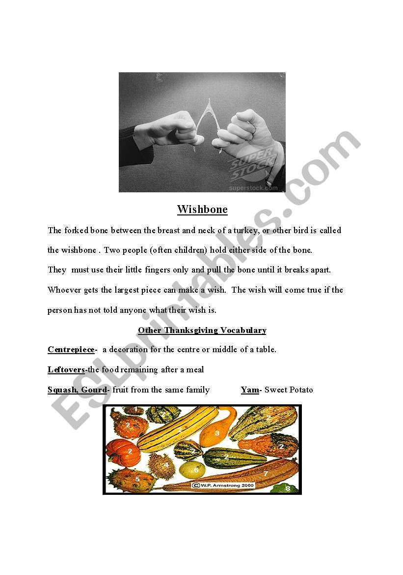 Wishbone Tradition worksheet