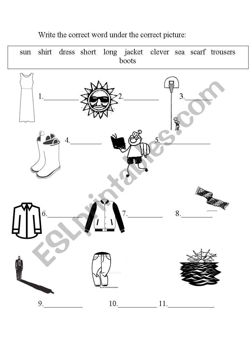 vocabulary quiz3 worksheet