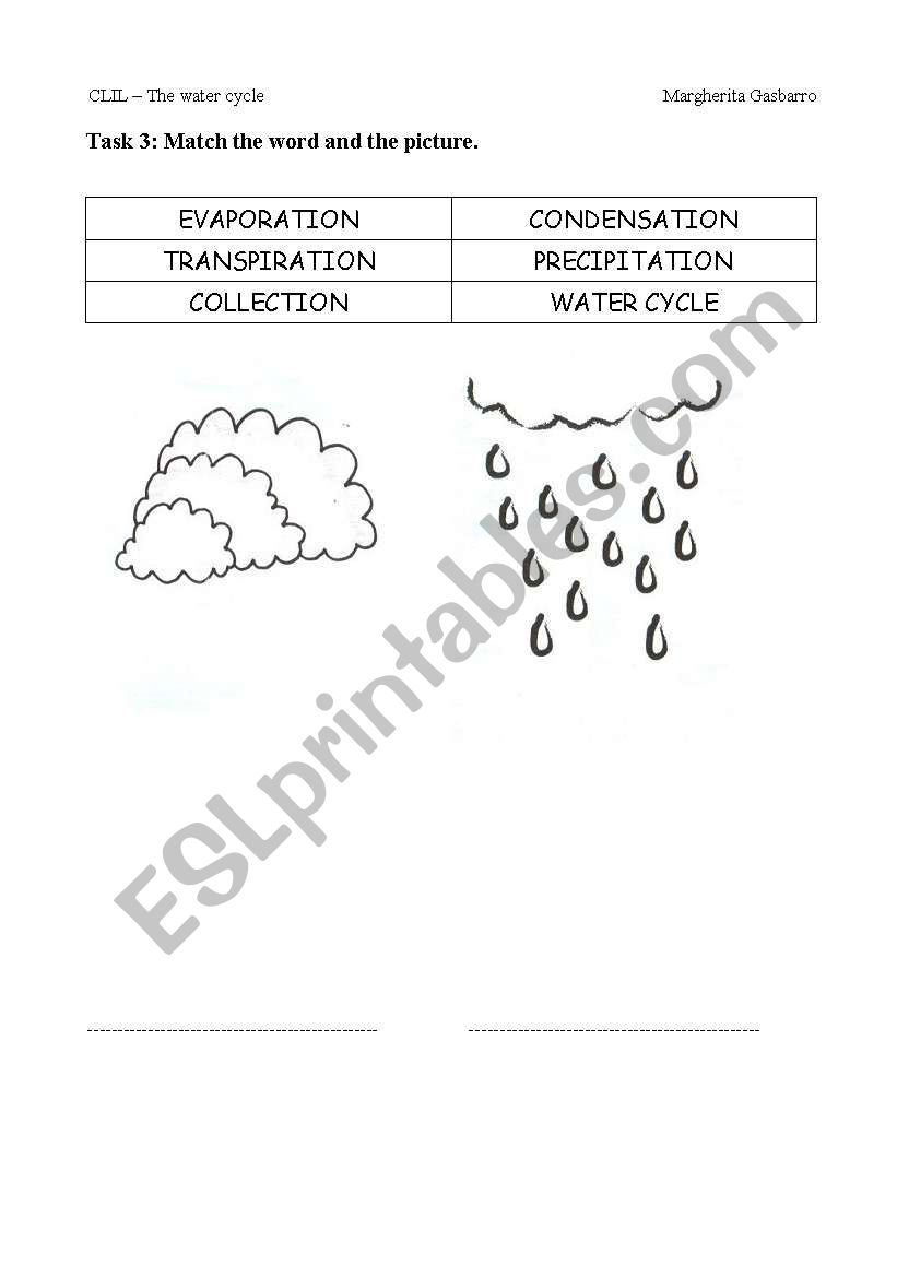 The water cycle worksheet