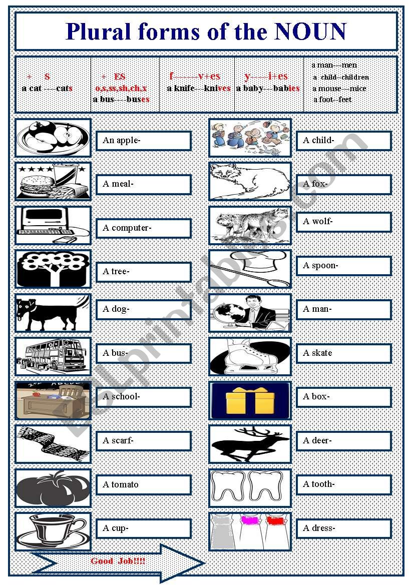 Worsheets Singular And Plural Nouns Plural Nouns Activities Singular 