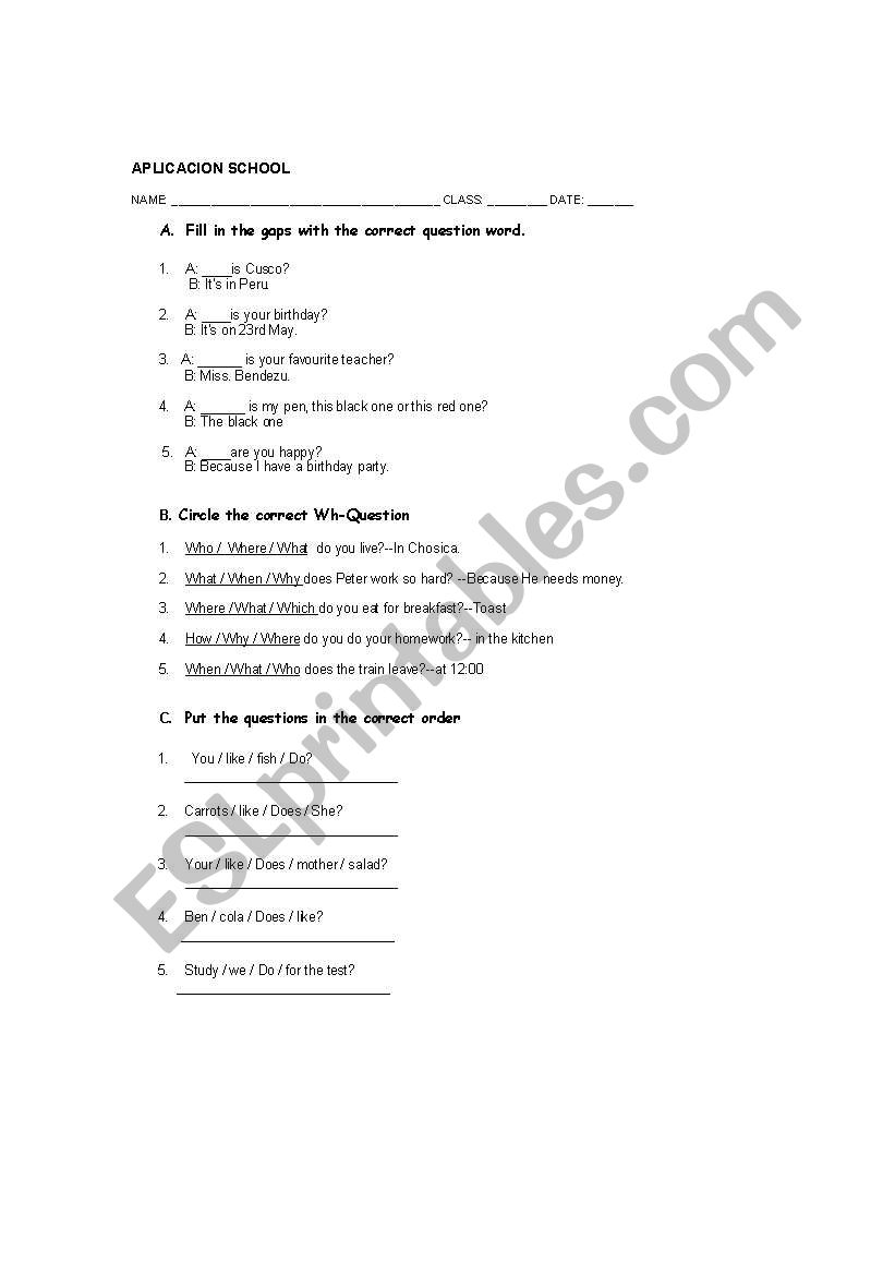 wh=questions worksheet