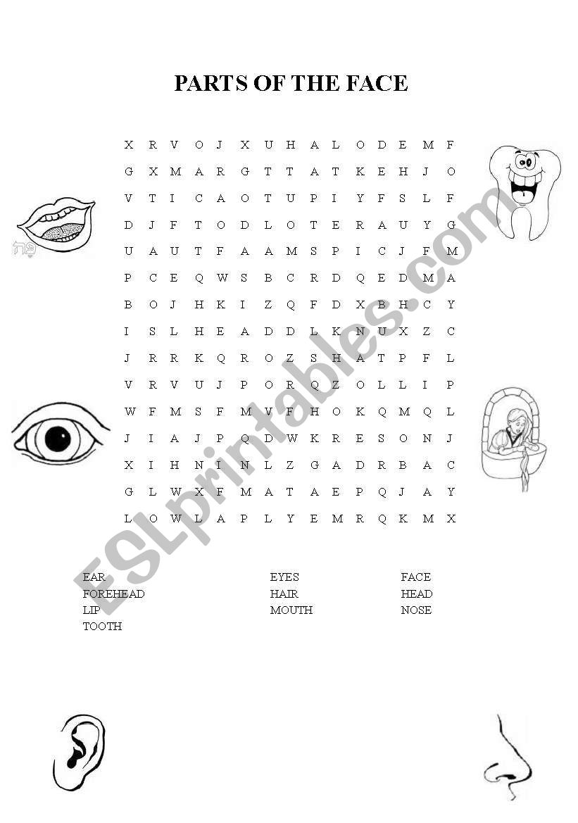 PARTS OF THE FACE worksheet