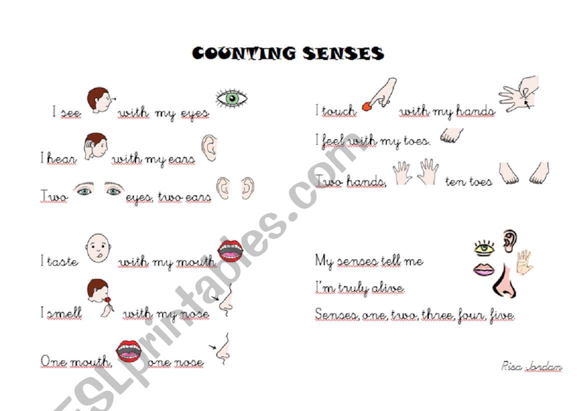 COUNTING SENSES worksheet