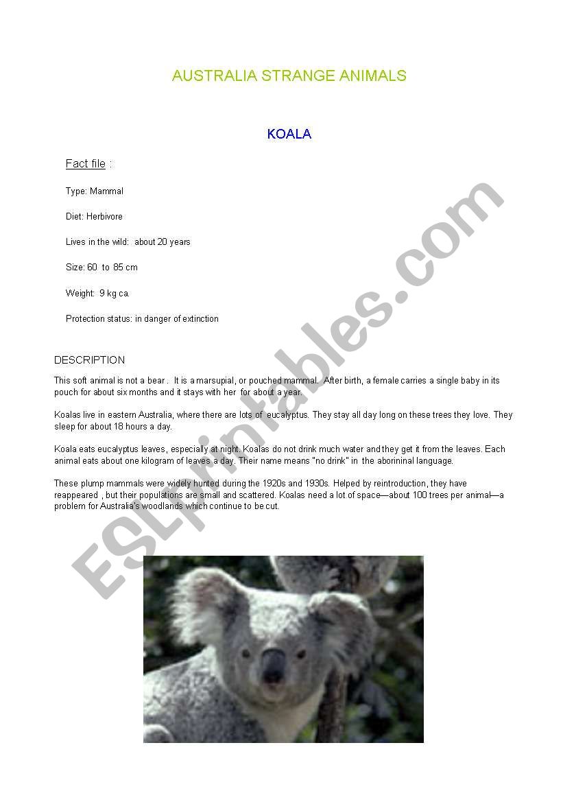 AUSTRALIA STRANGE ANIMALS worksheet