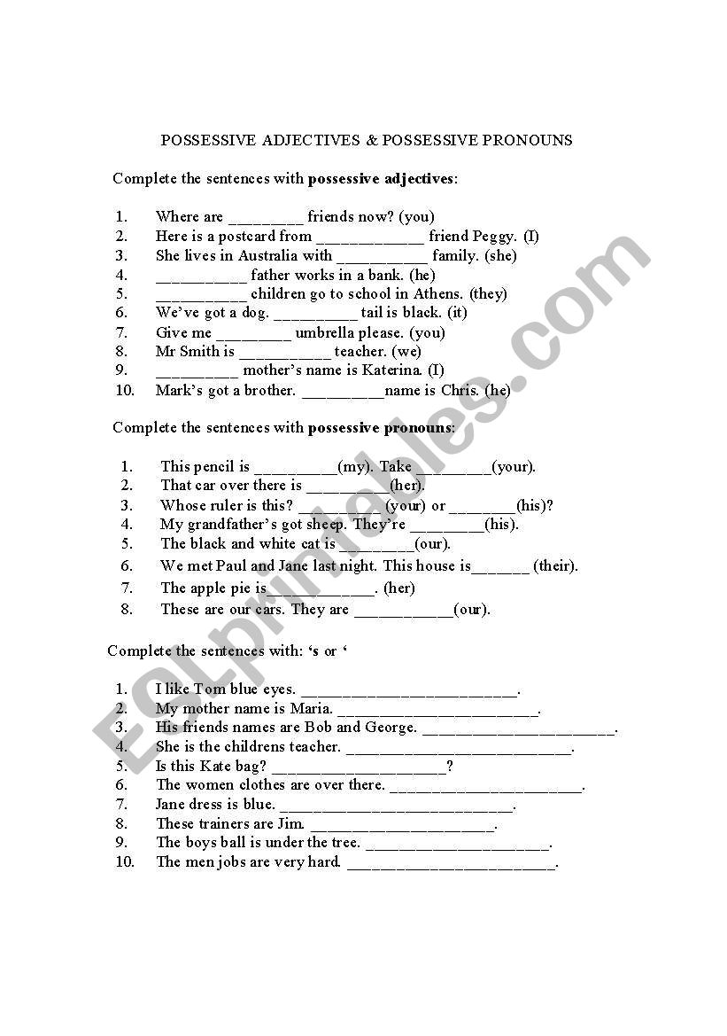 possessive case worksheet