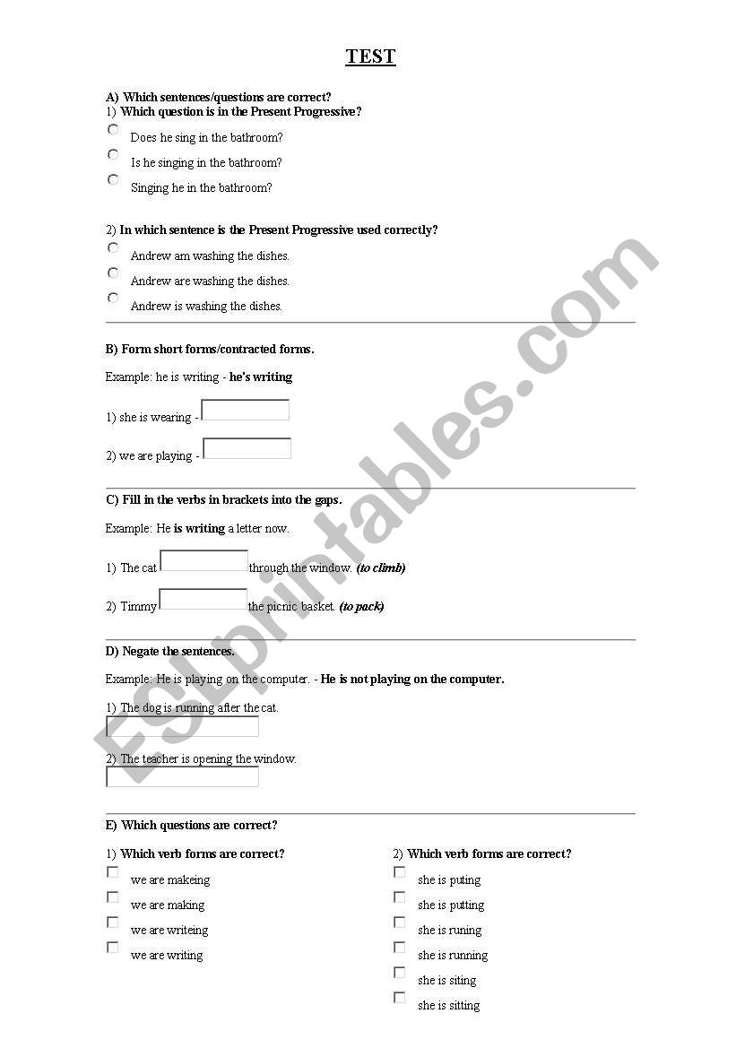 Present Continuous TEST worksheet