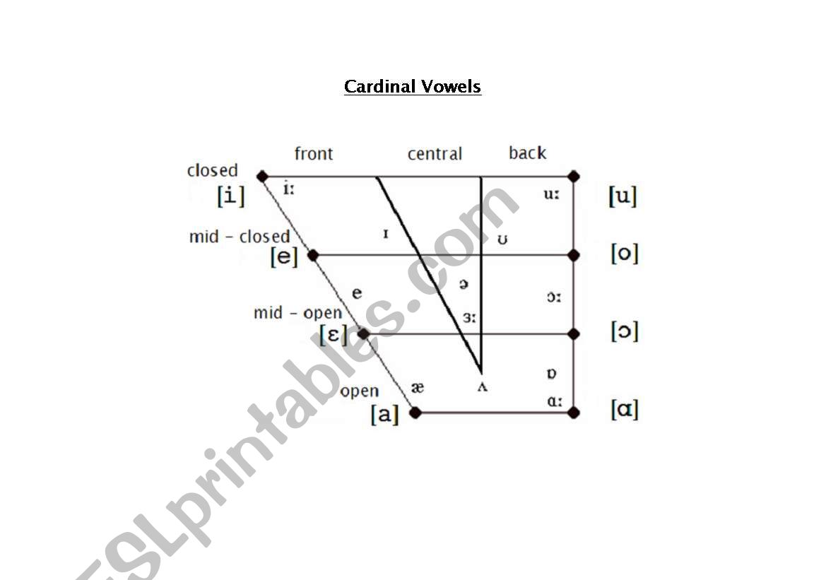 Phonetics 2 worksheet