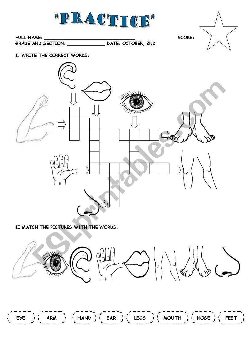 puzzle body worksheet