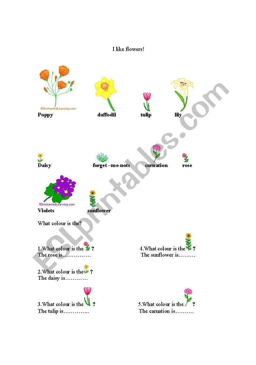 the flowers worksheet