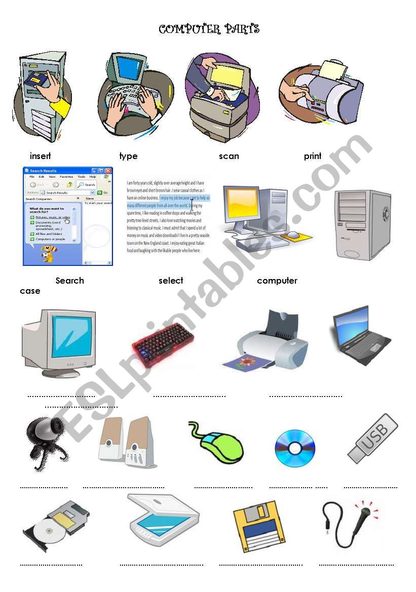 vocabulary study - ESL worksheet by HCansel