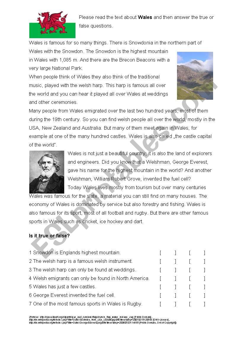 Reading Comprehension Wales worksheet
