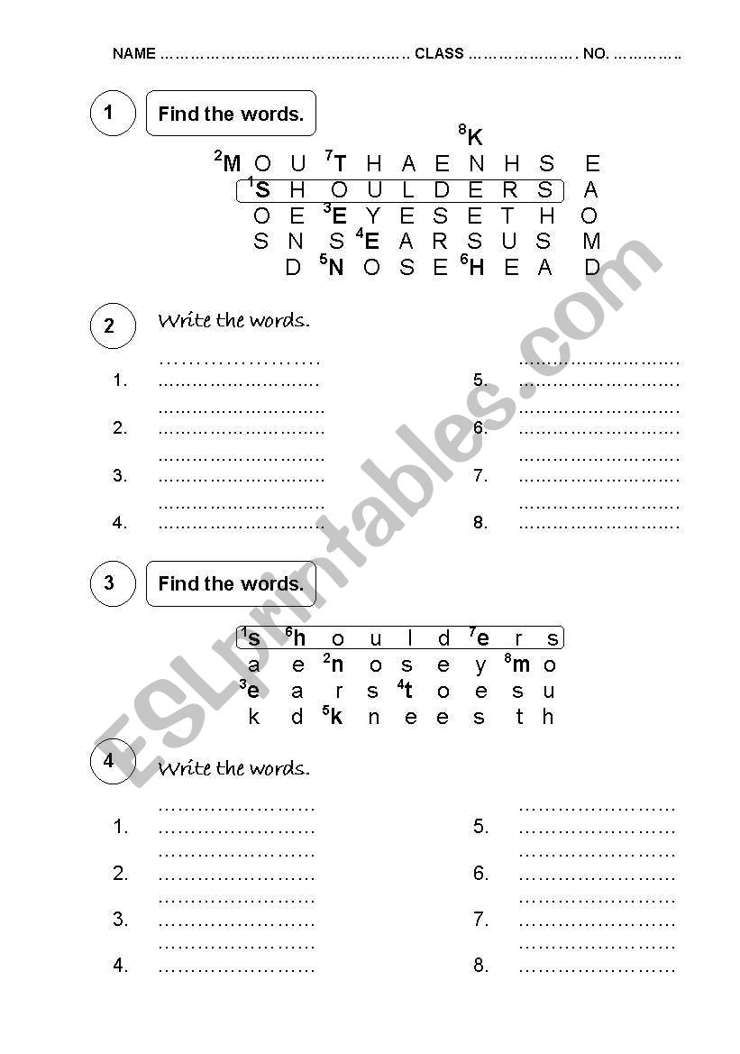 English Worksheets MY BODY