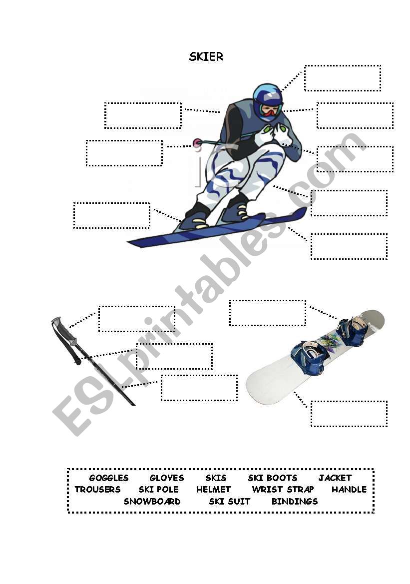 Skier worksheet