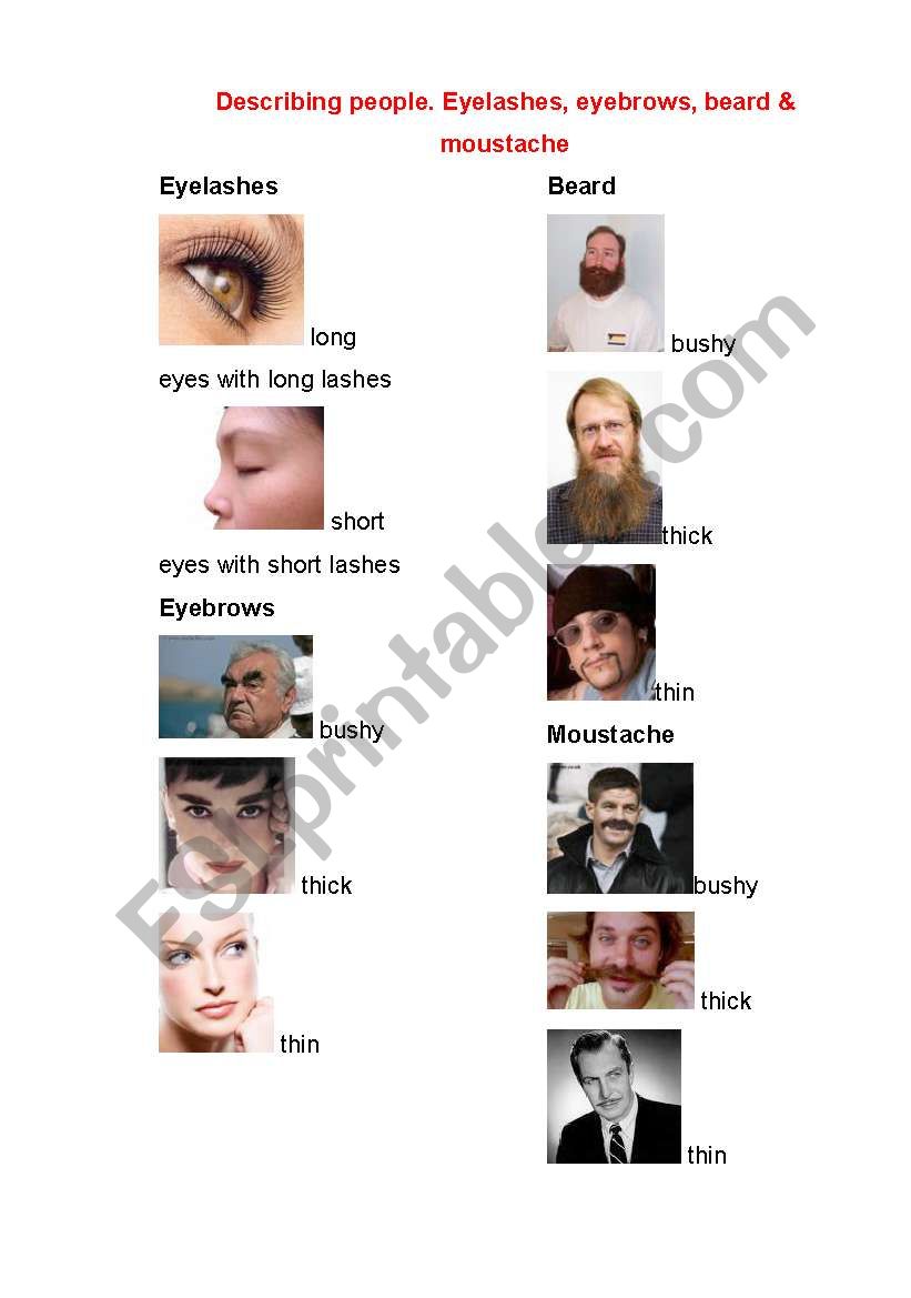 Describing people. Pictionary. Eyebrows, eyelashes, moustache, beard