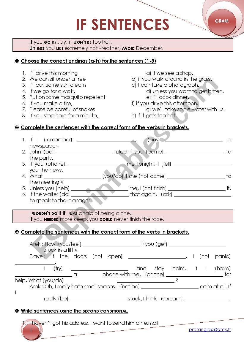 IF sentences: EXERCISES worksheet