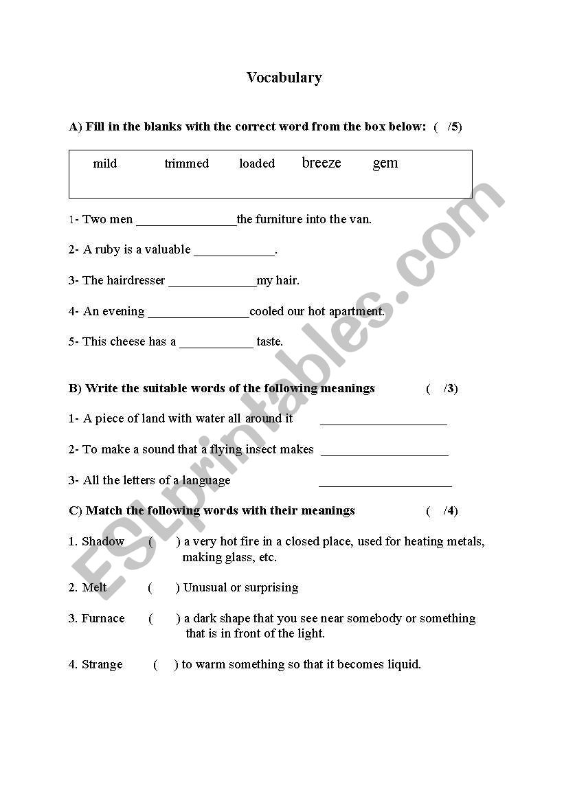 VOCABULARY  worksheet