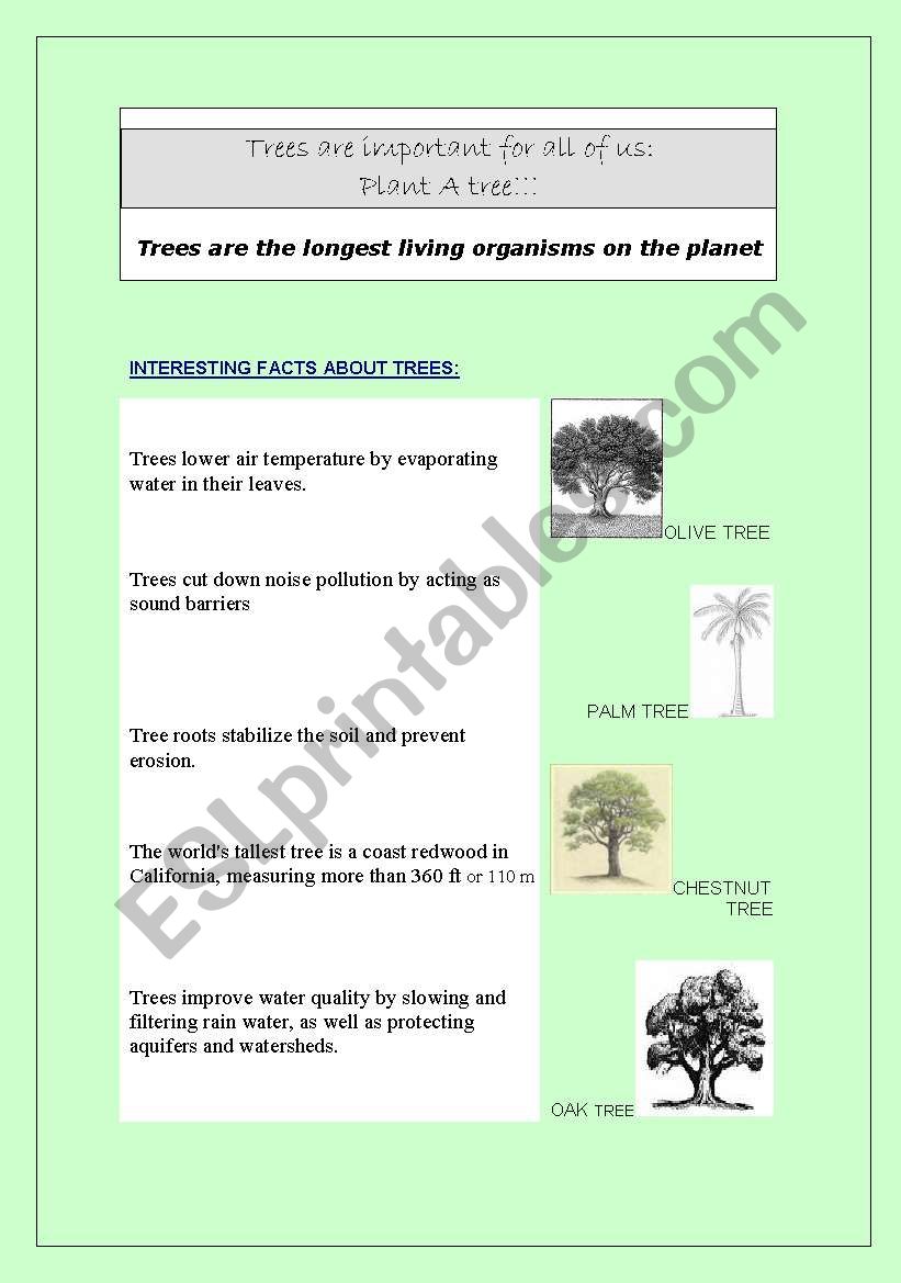 PLANT A TREE!! INTERESTING FACTS ABOUT TREES + MATCHING + WORDSEARCH