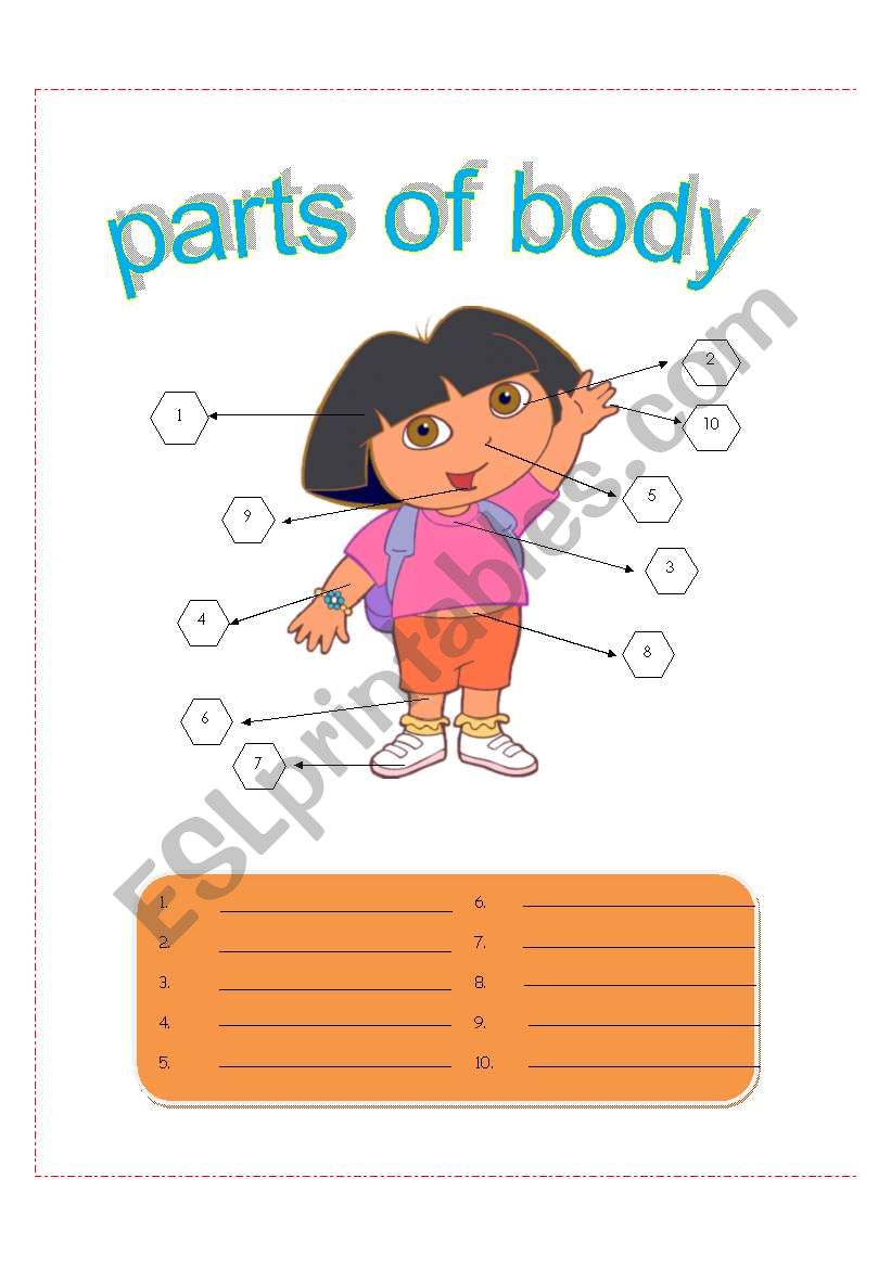 parts of body worksheet