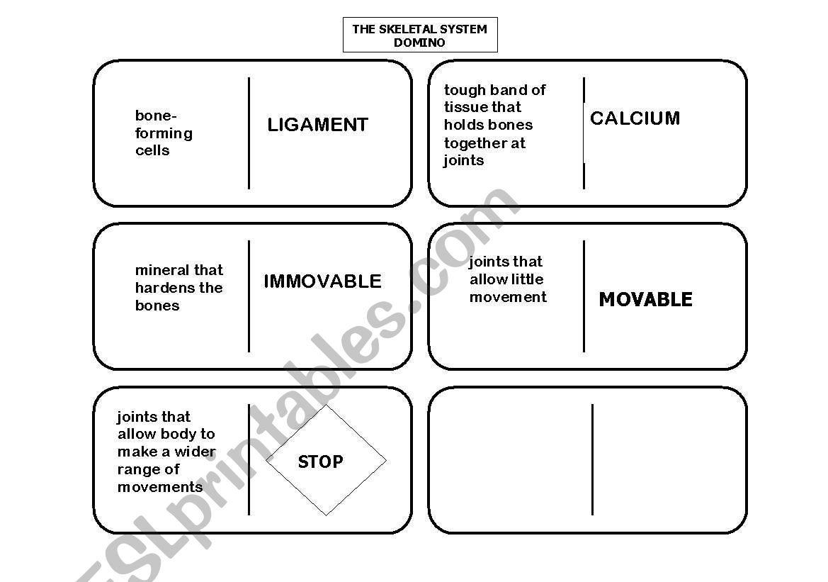 The Skeletal System Domino 2 worksheet