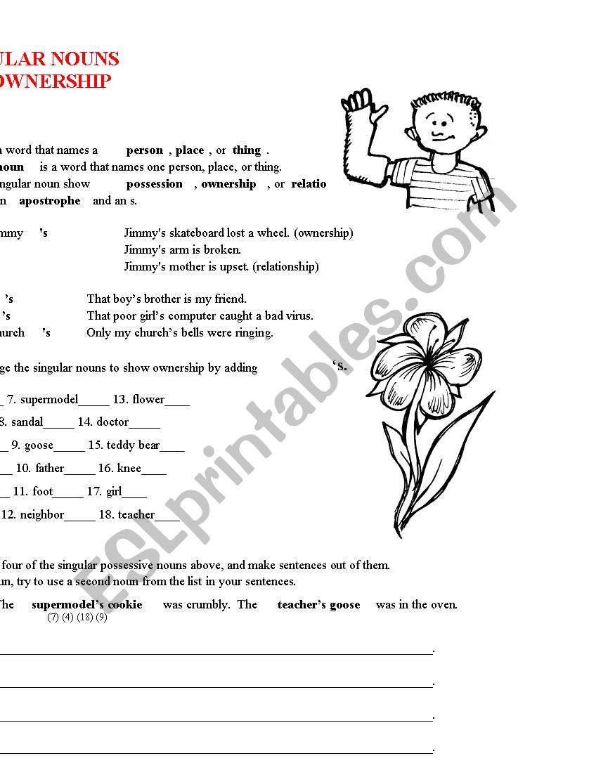 Singular-Plural Nouns/Ownership ( s)