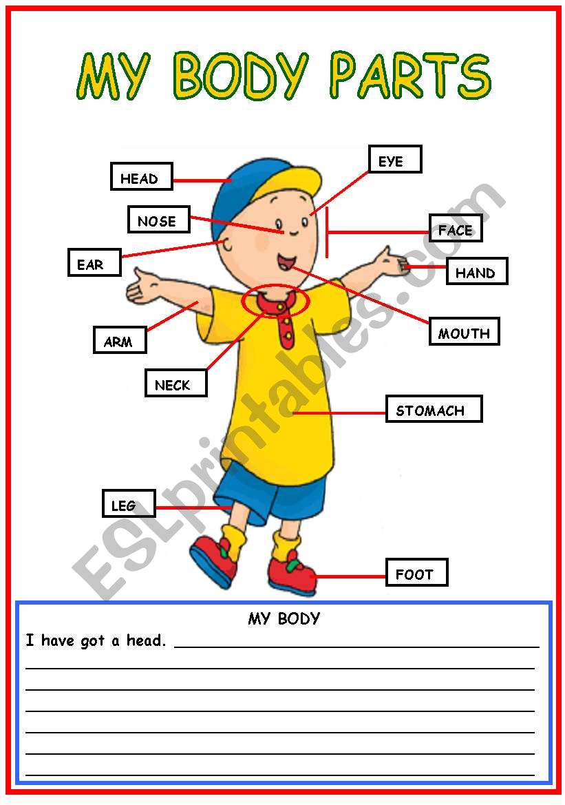 Body Parts Worksheet For Adults