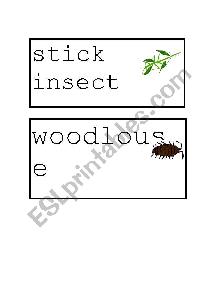 minibeasts worksheet