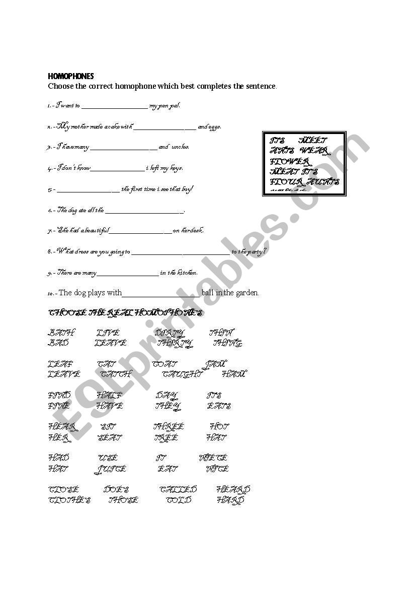 HOMOPHONES worksheet