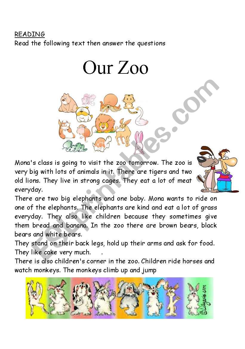 our zoo reading activity or test