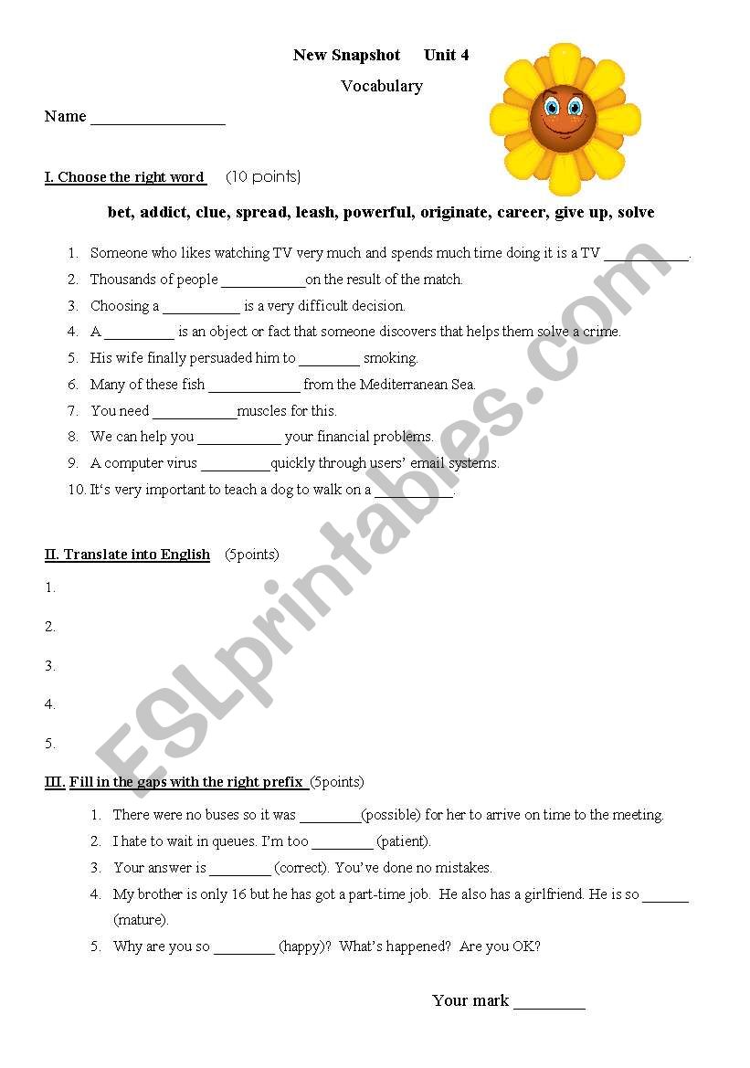 New Snapshot vocabulary worksheet