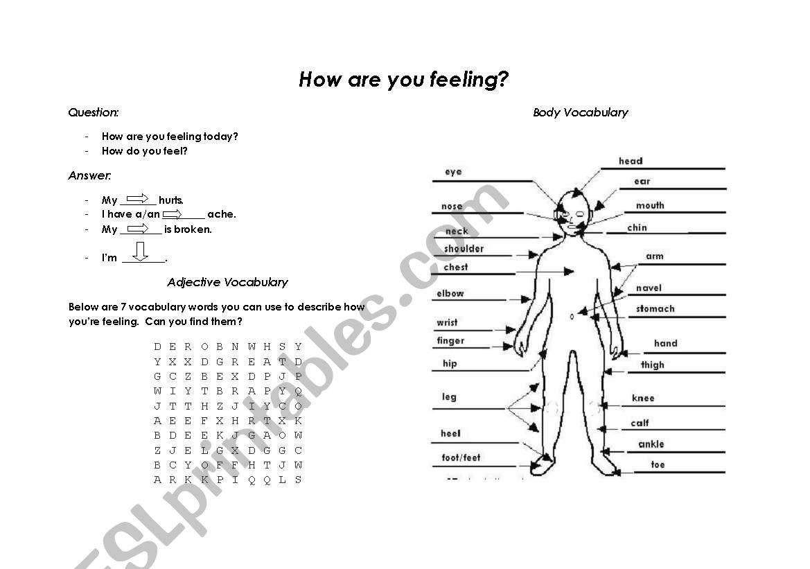 At the Doctors Office worksheet