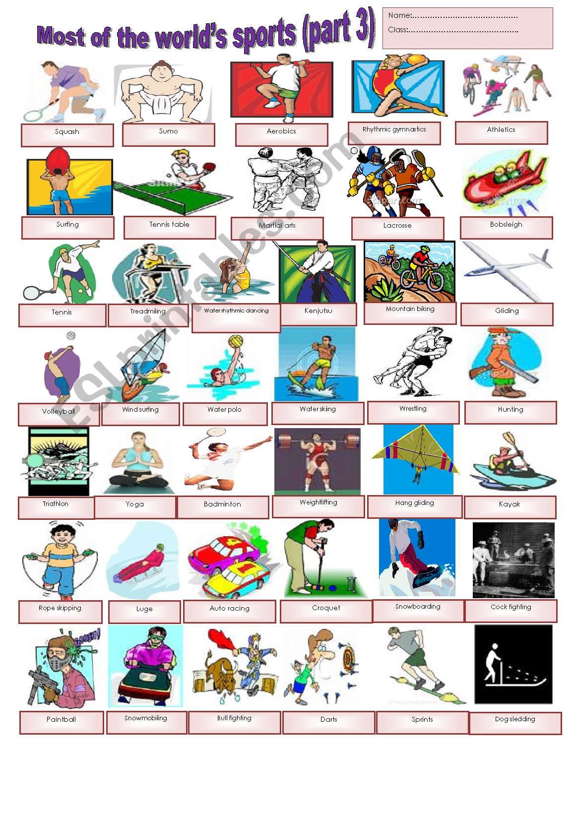 A sport´s dictionary (part 3) - ESL worksheet by tareq