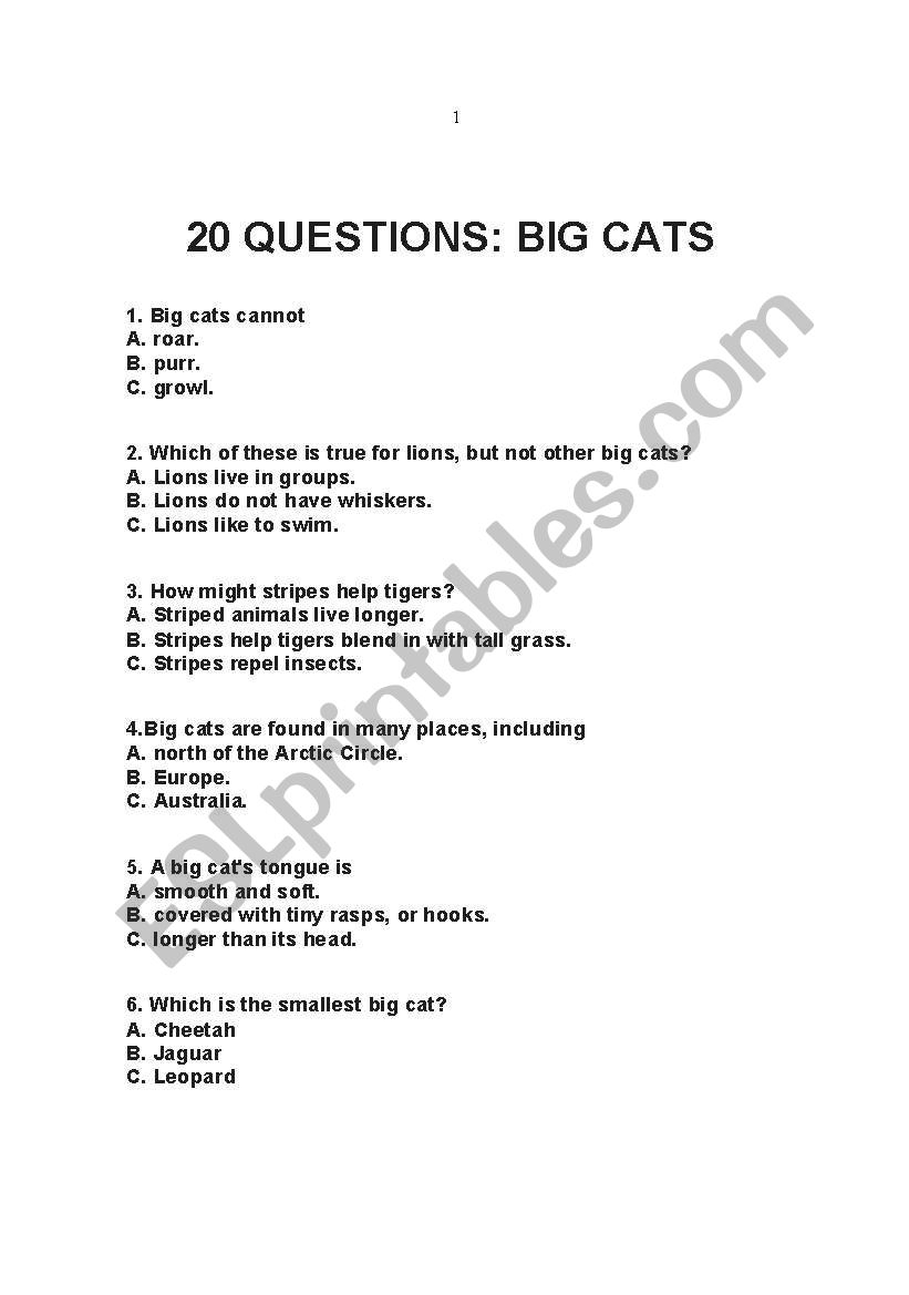 20 Big Cats worksheet