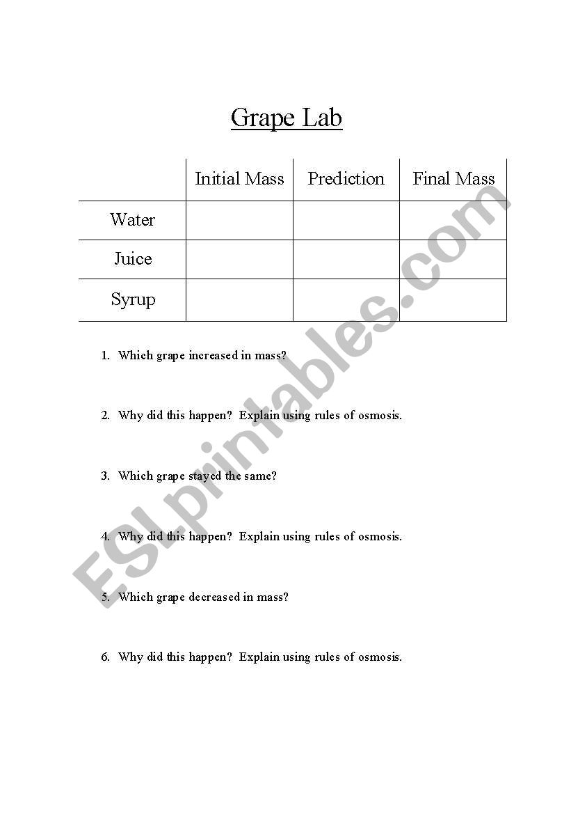 Grape Lab worksheet