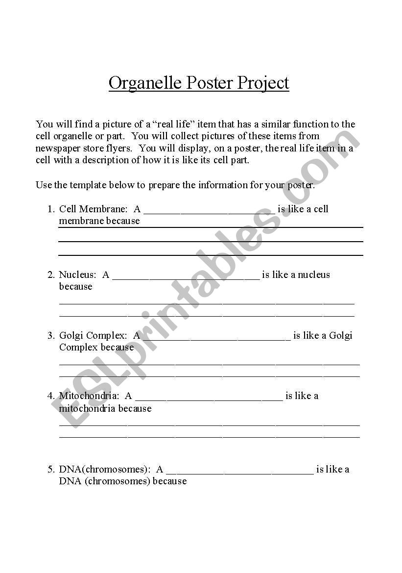 Cell Town worksheet