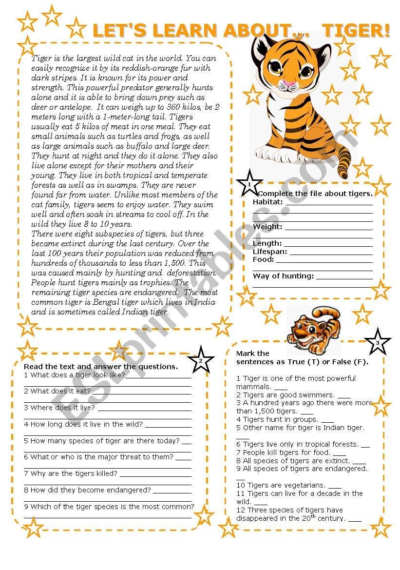 LET´S LEARN ABOUT... TIGER! (2 PAGES with key) - ESL worksheet by veljaca82