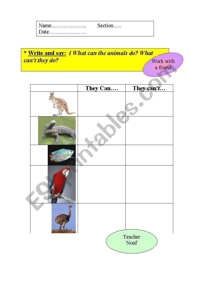 english-worksheets-can-can-t