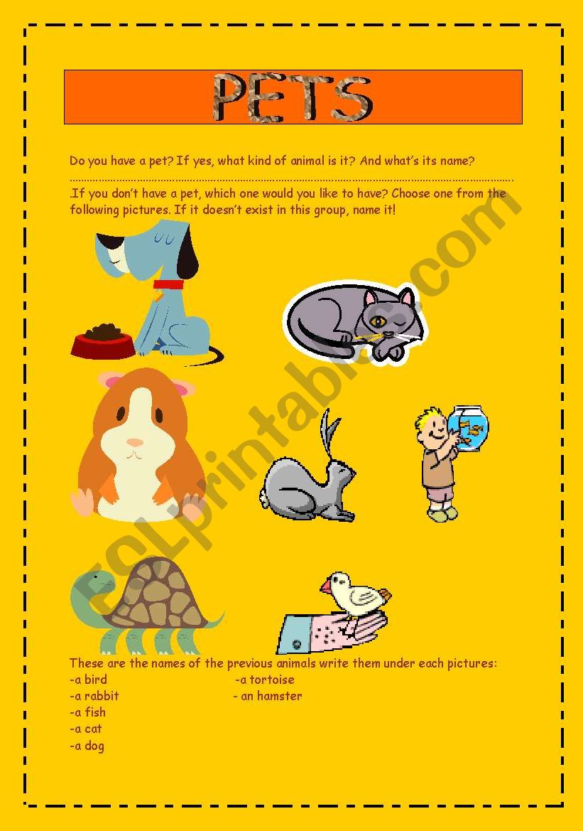 pets worksheet