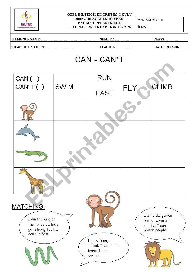 can animals worksheet t can ESL by snowflake20 can worksheet  (animals)  can´t