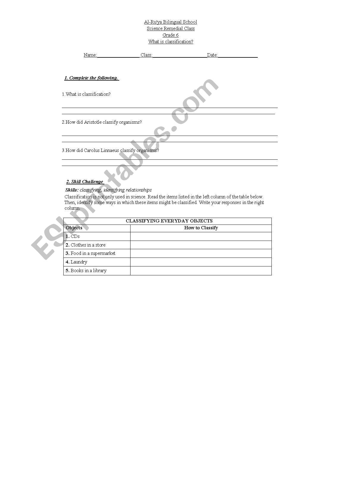 classification grade 6 worksheet