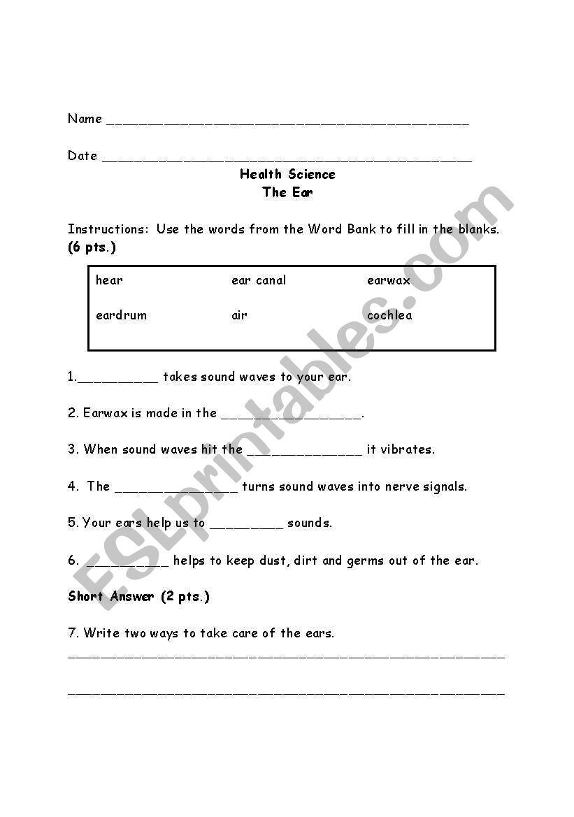 English worksheets: The Ear