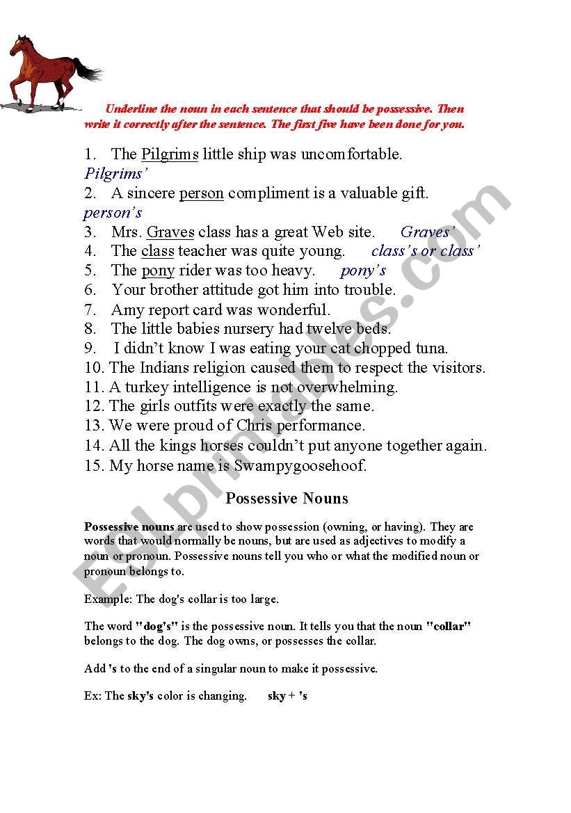 possessive noun worksheet