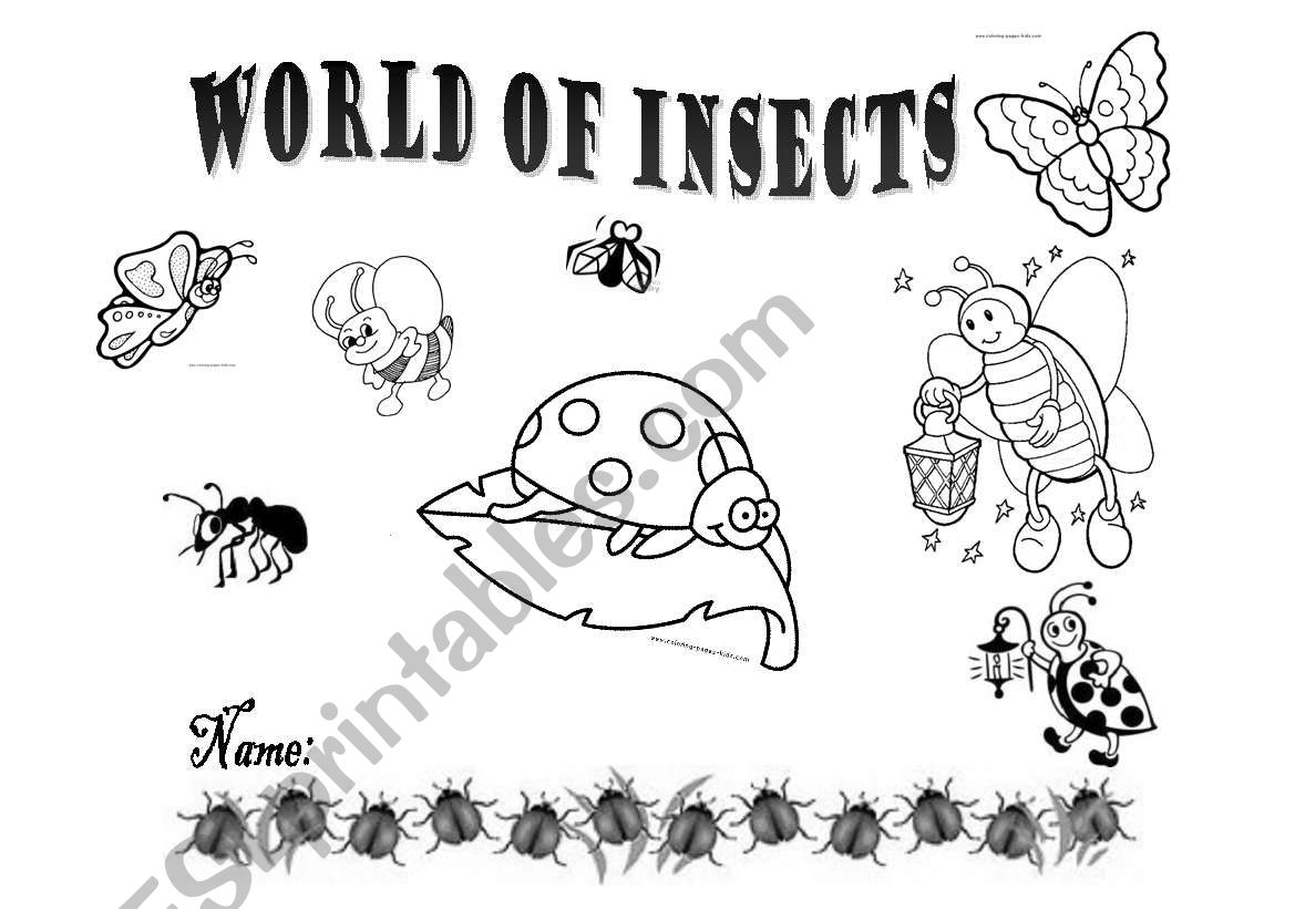 World of Insects worksheet