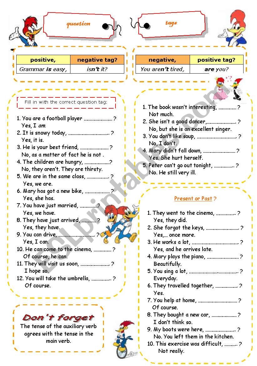 Question tags - exercises worksheet