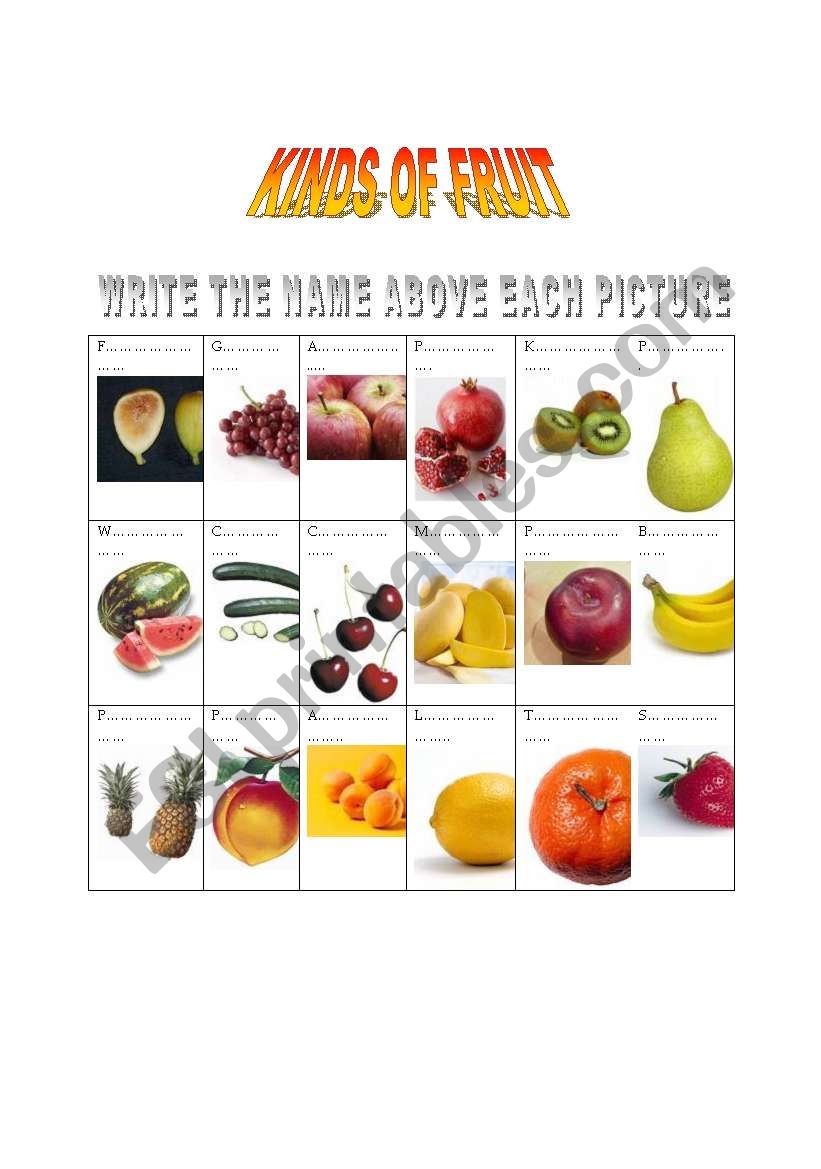 Kind of fruits worksheet