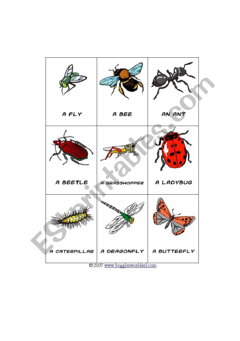 Insect Bingo Board worksheet