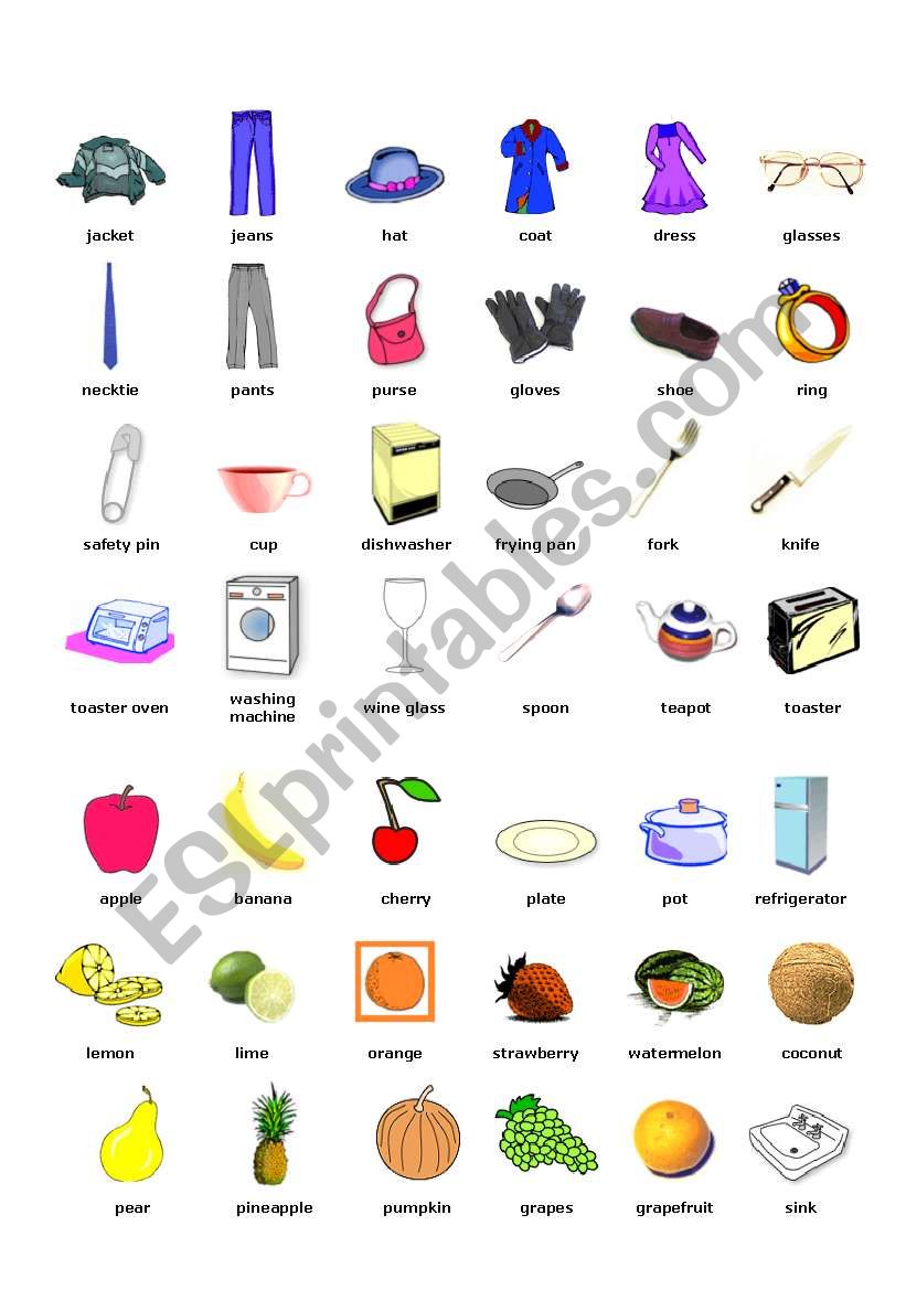 Picture dictionary - ESL worksheet by fmfuong